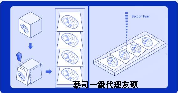 南昌蔡司南昌扫描电镜